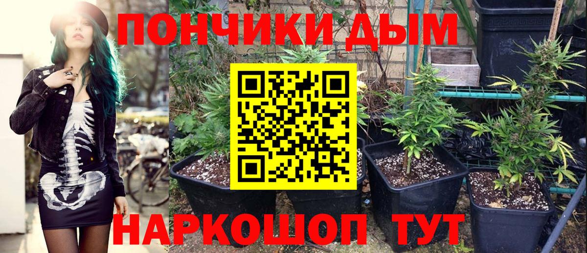 Конопля план Иваново